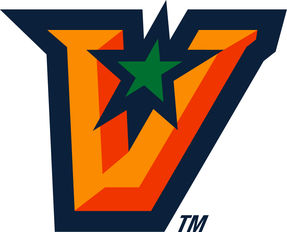 UTRGV Vaqueros 2015-Pres Wordmark Logo v2 DIY iron on transfer (heat transfer)
